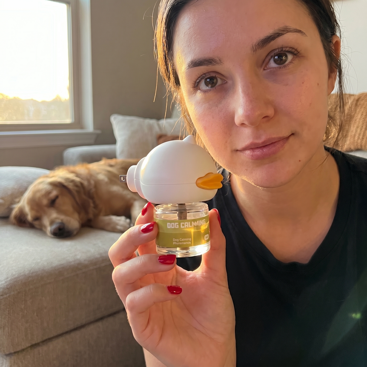 Sans médicament, sans sédation, sans altérer la personnalité de votre chien