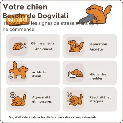 Dog Calming — Diffuseur de Phéromones | DogVitali