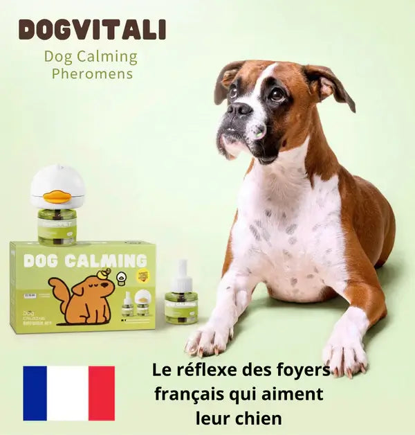 Dog Calming — Diffuseur de Phéromones | DogVitali